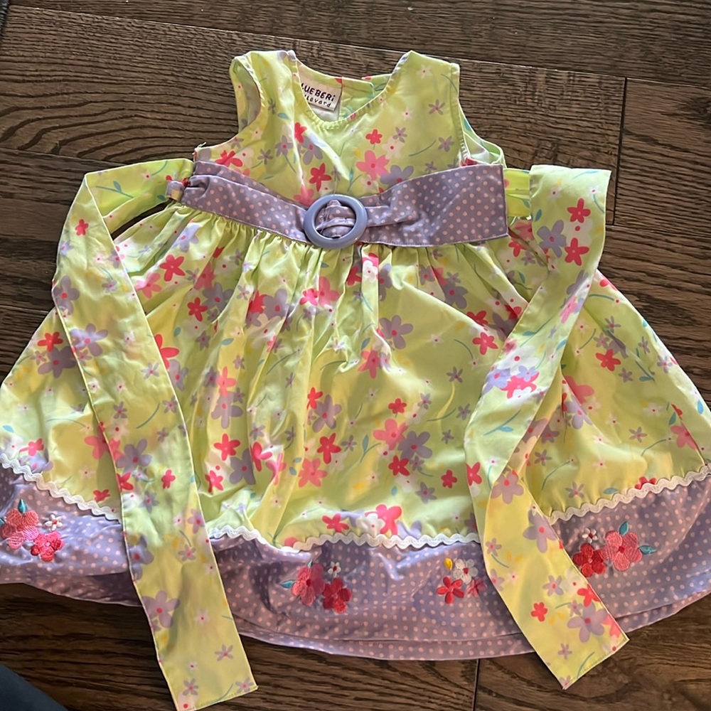 24 Month Spring Dress
